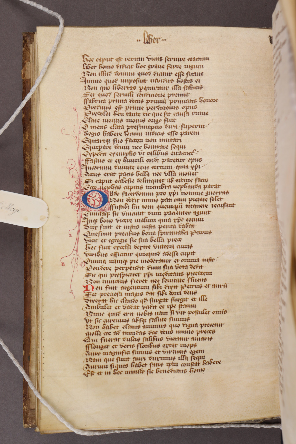 Folio 44 verso